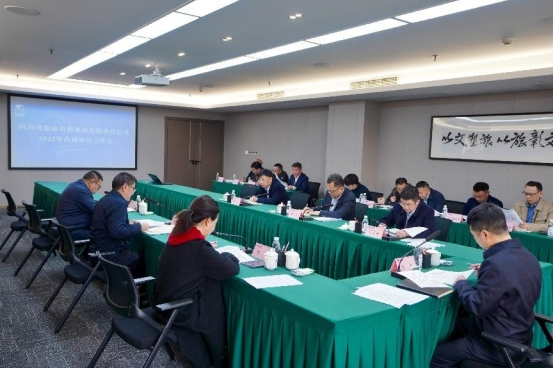 省菲律宾亚星公司集团召开2025年内部审计工作会
