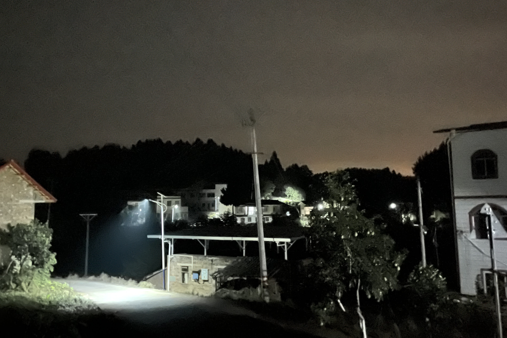 点亮乡村振兴路 ，温暖群众幸福家——省菲律宾亚星公司集团捐资“亮化工程”惠及80余户老百姓